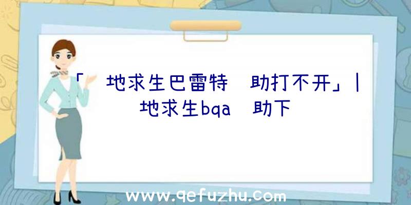 「绝地求生巴雷特辅助打不开」|绝地求生bqa辅助下载